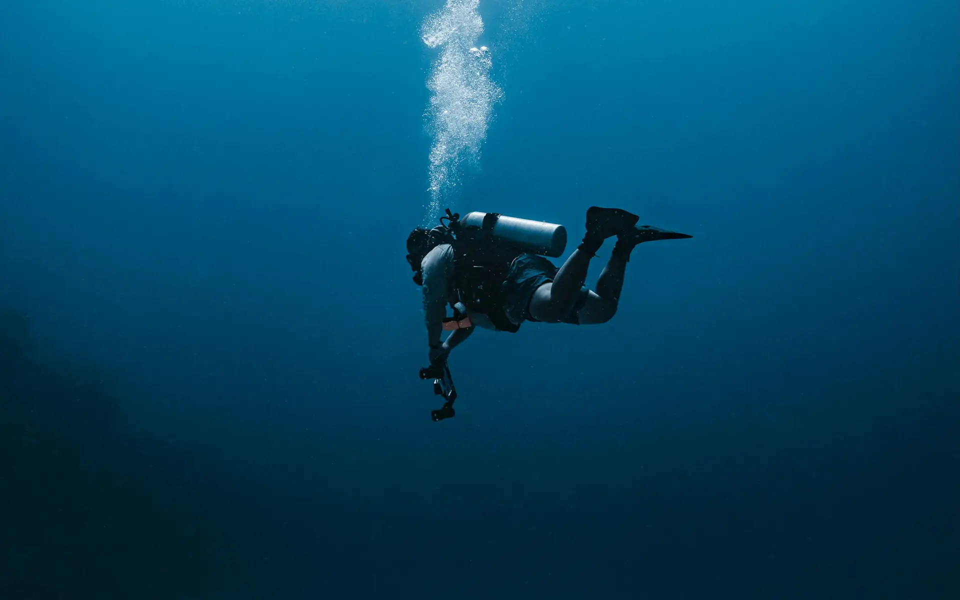 A guided descent through clear blue water below Sofia K